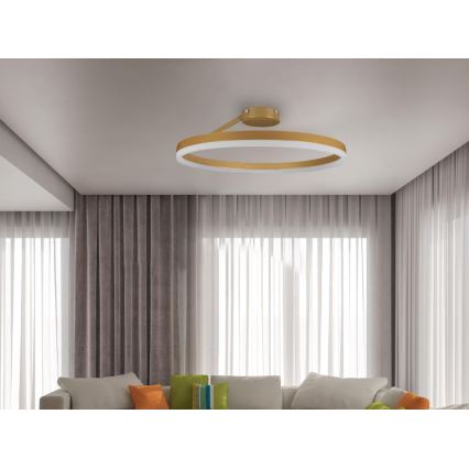 Lampadario a plafone LED dimmerabile LED/40W/230V 3000-6500K oro + telecomando