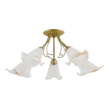Lampadario a plafone MARCELLO 5xE14/10W/230V oro