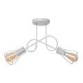 Lampadario a plafone OXFORD 2xE27/15W/230V bianco