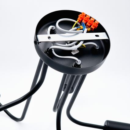 Lampadario a plafone TRINITY 5xE27/15W/230V nero