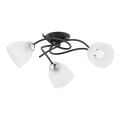 Lampadario a plafone VERWIL 3xE27/15W/230V nero