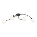 Lampadario a plafone VIBRA 4xE14/10W/230V nero/bianco