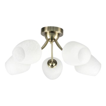 Lampadario a plafone ZINA 5xE27/40W/230V ottone/bianco