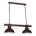 Lampadario a sospensione con catena HAKON 2xE27/60W/230V scuro