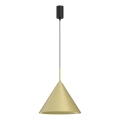 Lampadario a sospensione con cavo CAPITAL 1xGX53/15W/230V Ø 32 cm dorato
