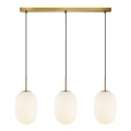 Lampadario a sospensione con filo ALIAS 3xE14/40W/230V oro