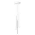 Lampadario a sospensione con filo ARCHE 3xG9/8W/230V bianco