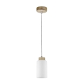 Lampadario a sospensione con filo BOSCO 1xE27/60W/230V Betulla
