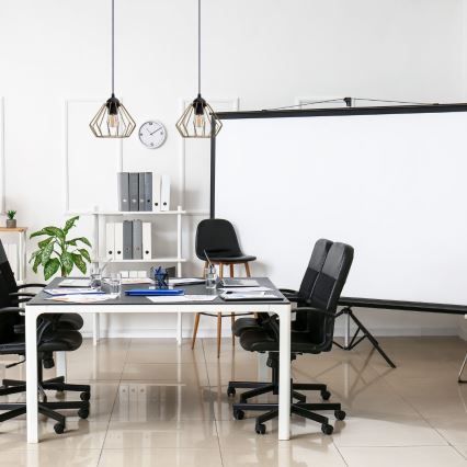 Lampadario a sospensione con filo CEED GOLD 2xE27/60W/230V nero/oro