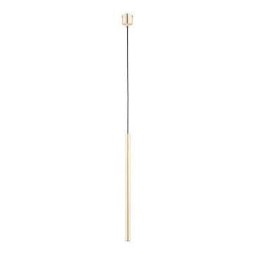 Lampadario a sospensione con filo COLLET 1xG9/40W/230V oro