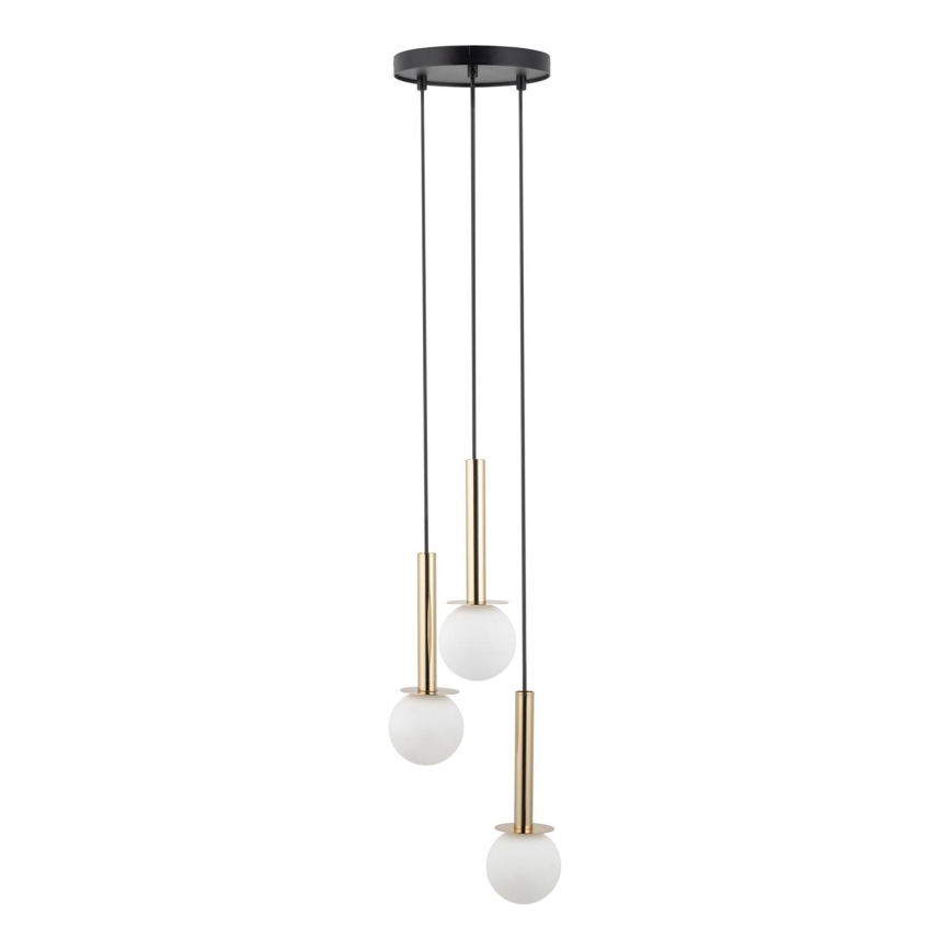 Lampadario a sospensione con filo DAISY 3xG9/12W/230V diametro 27 cm oro/nero/bianco