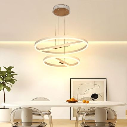Lampadario a sospensione con filo LED dimmerabile LED/100W/230V 3000-6500K diametro 60 cm + telecomando