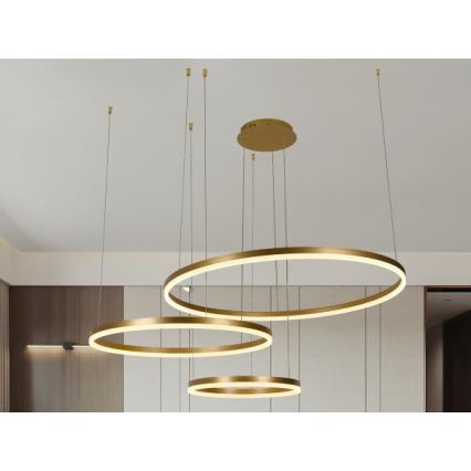 Lampadario a sospensione con filo LED dimmerabile LED/125W/230V 3000-6500K diametro 80 cm + telecomando