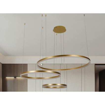Lampadario a sospensione con filo LED dimmerabile LED/125W/230V 3000-6500K diametro 80 cm + telecomando