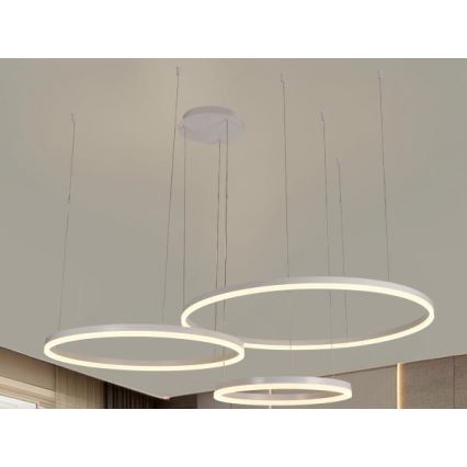 Lampadario a sospensione con filo LED dimmerabile LED/125W/230V 3000-6500K diametro 80 cm + telecomando