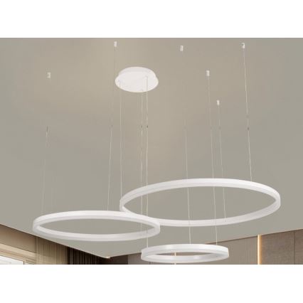 Lampadario a sospensione con filo LED dimmerabile LED/125W/230V 3000-6500K diametro 80 cm + telecomando