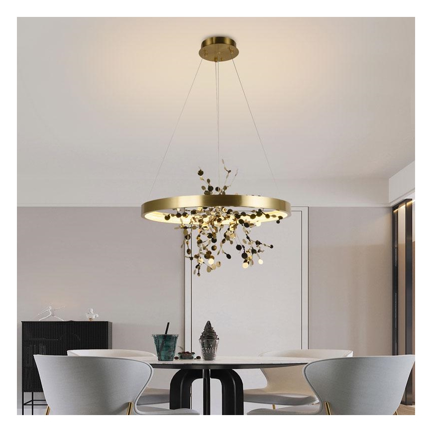 Lampadario a sospensione con filo LED dimmerabile LED/40W/230V 3000-6500K oro + telecomando