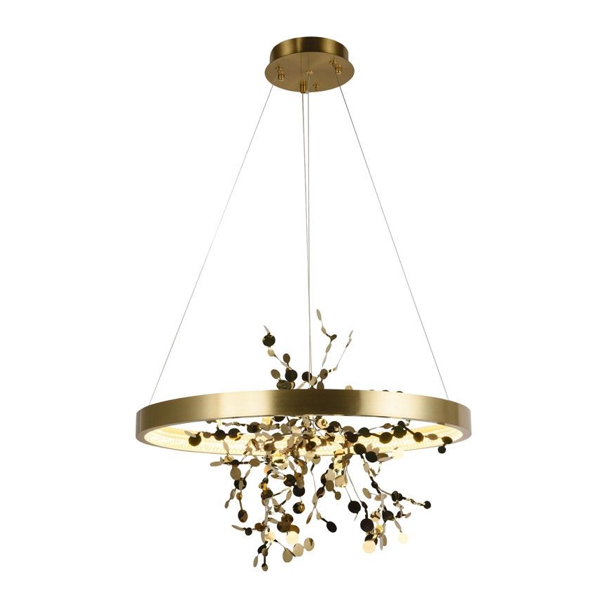 Lampadario a sospensione con filo LED dimmerabile LED/40W/230V 3000-6500K oro + telecomando