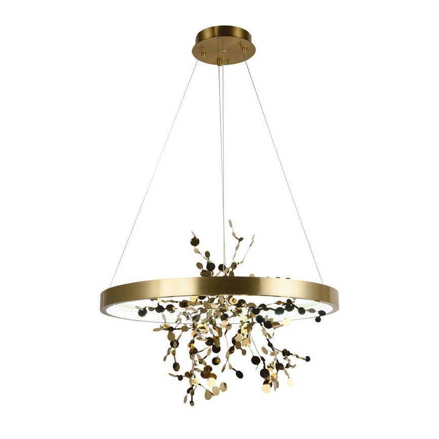 Lampadario a sospensione con filo LED dimmerabile LED/40W/230V 3000-6500K oro + telecomando