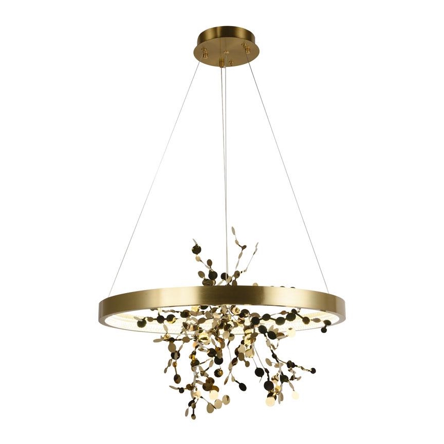 Lampadario a sospensione con filo LED dimmerabile LED/40W/230V 3000-6500K oro + telecomando