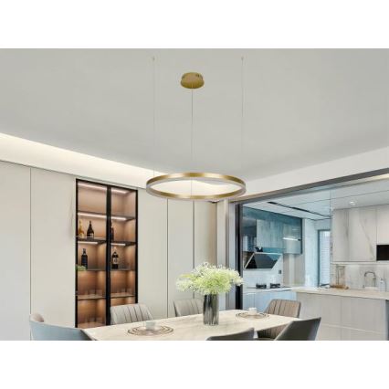 Lampadario a sospensione con filo LED dimmerabile LED/42W/230V 3000-6500K + telecomando