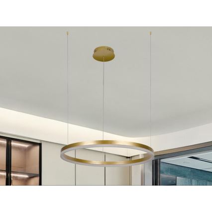 Lampadario a sospensione con filo LED dimmerabile LED/42W/230V 3000-6500K diametro 60 cm + telecomando