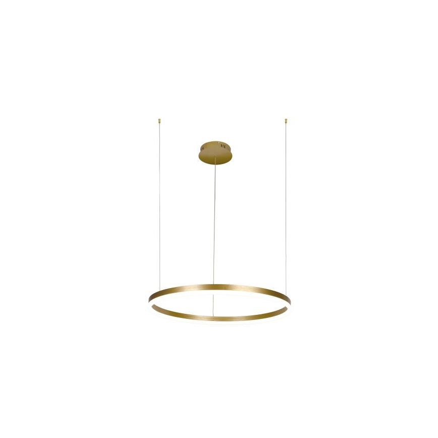 Lampadario a sospensione con filo LED dimmerabile LED/42W/230V 3000-6500K + telecomando