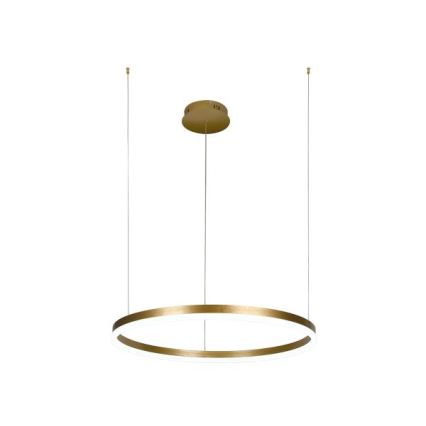 Lampadario a sospensione con filo LED dimmerabile LED/42W/230V 3000-6500K + telecomando