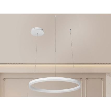 Lampadario a sospensione con filo LED dimmerabile LED/42W/230V 3000-6500K diametro 60 cm + telecomando