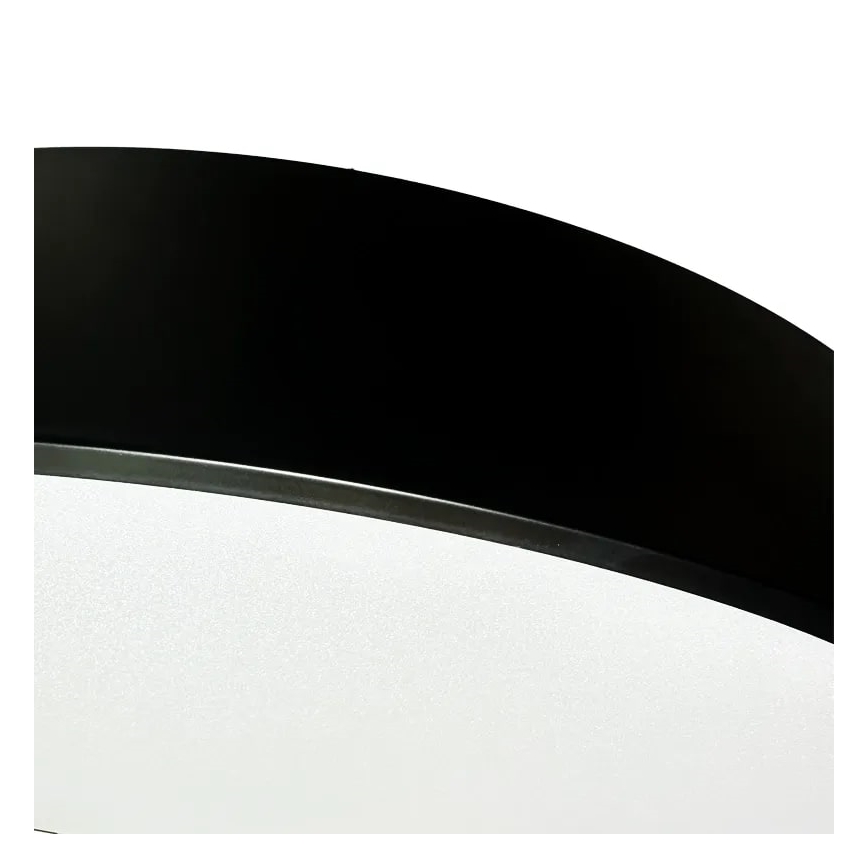 Lampadario a sospensione con filo LED dimmerabile LED/50W/230V 3000-6500K nero + telecomando