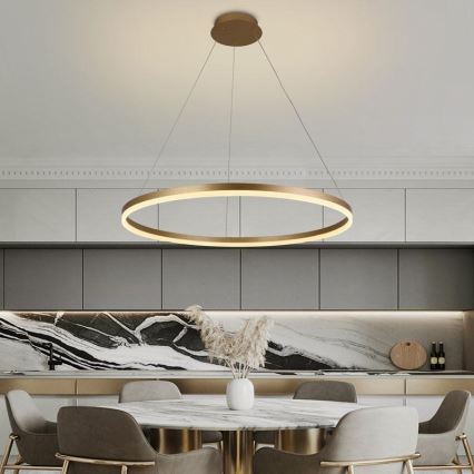 Lampadario a sospensione con filo LED dimmerabile LED/55W/230V 3000-6500K diametro 80 cm + telecomando