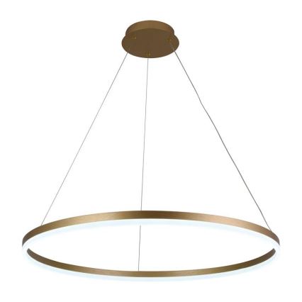 Lampadario a sospensione con filo LED dimmerabile LED/55W/230V 3000-6500K diametro 80 cm + telecomando