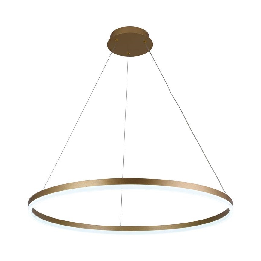 Lampadario a sospensione con filo LED dimmerabile LED/55W/230V 3000-6500K diametro 80 cm + telecomando