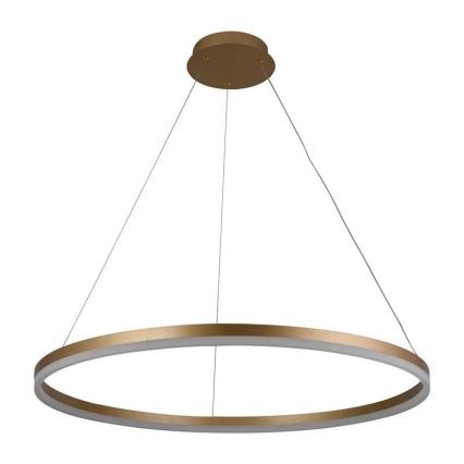 Lampadario a sospensione con filo LED dimmerabile LED/55W/230V 3000-6500K diametro 80 cm + telecomando