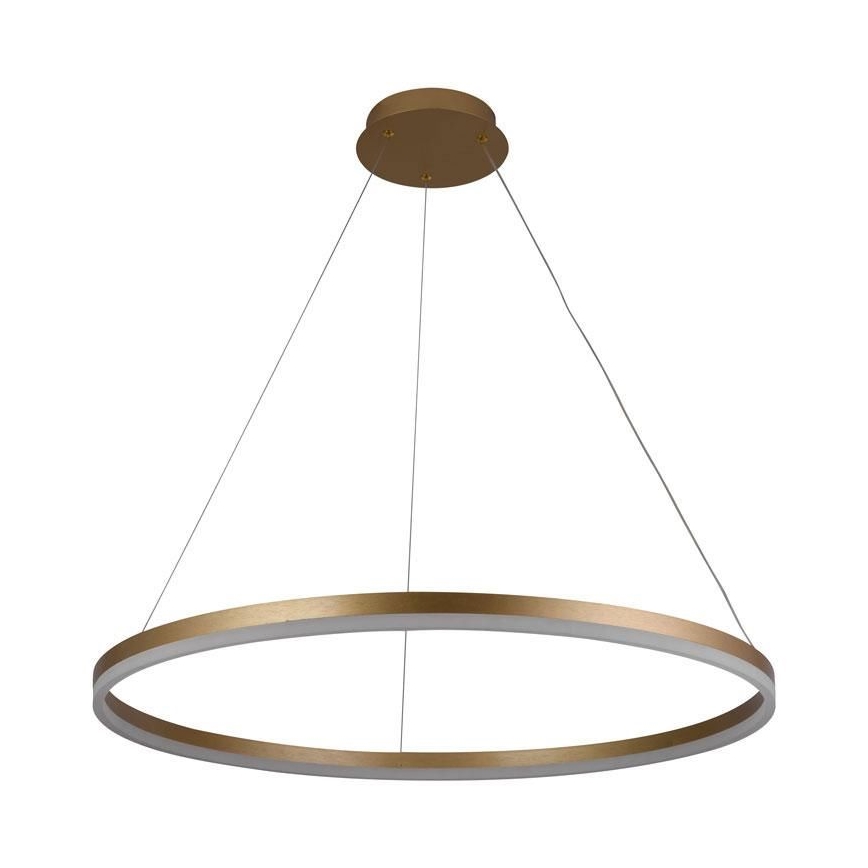 Lampadario a sospensione con filo LED dimmerabile LED/55W/230V 3000-6500K diametro 80 cm + telecomando