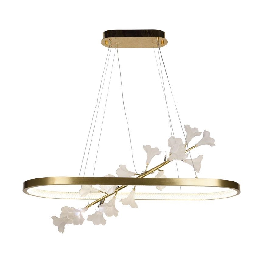 Lampadario a sospensione con filo LED dimmerabile LED/55W/230V 3000-6500K + telecomando