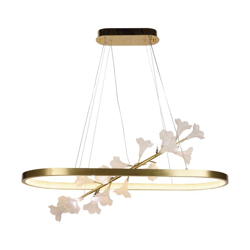 Lampadario a sospensione con filo LED dimmerabile LED/55W/230V 3000-6500K + telecomando