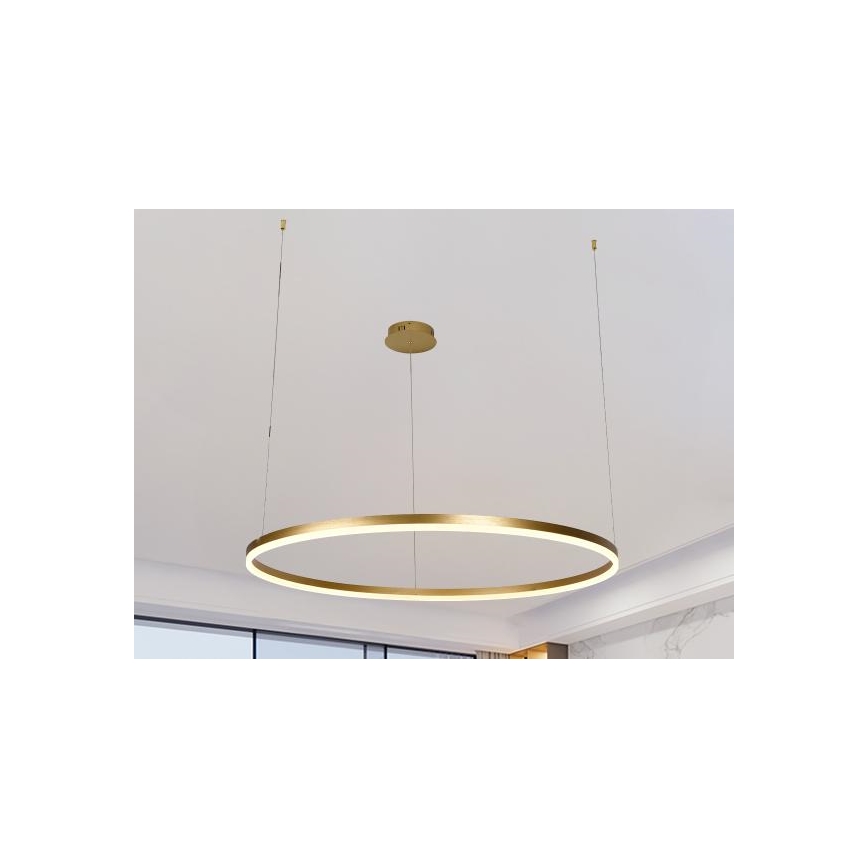 Lampadario a sospensione con filo LED dimmerabile LED/55W/230V 3000-6500K diametro 80 cm + telecomando