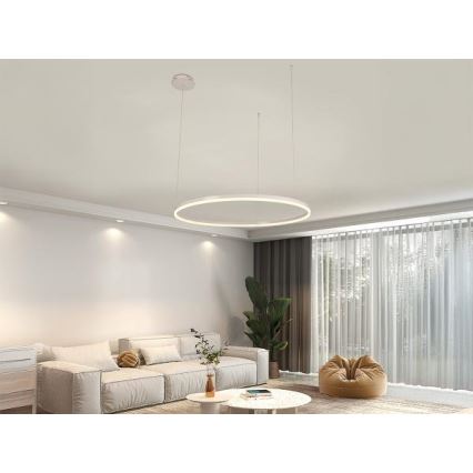 Lampadario a sospensione con filo LED dimmerabile LED/55W/230V 3000-6500K + telecomando