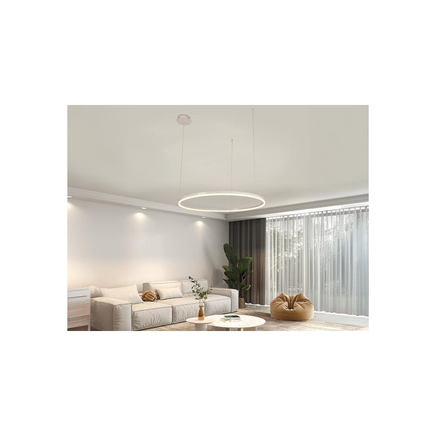 Lampadario a sospensione con filo LED dimmerabile LED/55W/230V 3000-6500K + telecomando