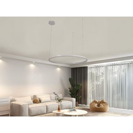 Lampadario a sospensione con filo LED dimmerabile LED/55W/230V 3000-6500K + telecomando