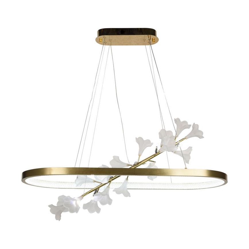 Lampadario a sospensione con filo LED dimmerabile LED/65W/230V 3000-6500K + telecomando
