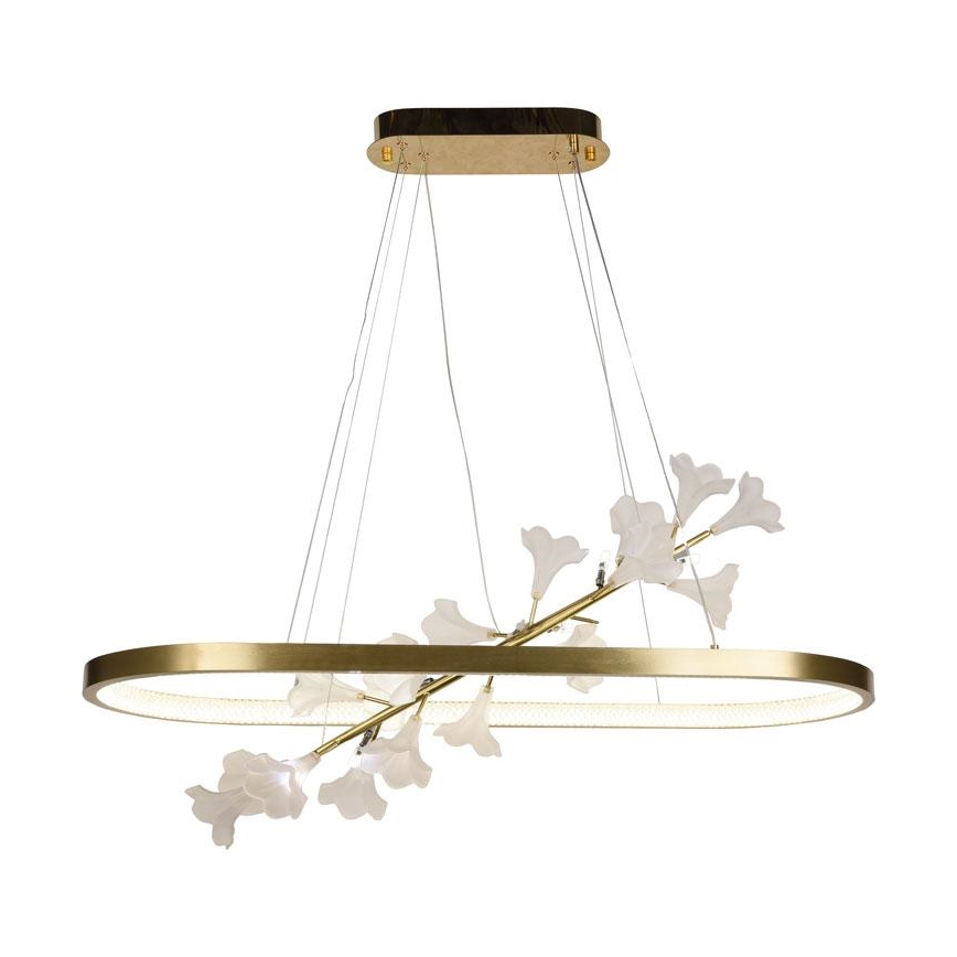 Lampadario a sospensione con filo LED dimmerabile LED/65W/230V 3000-6500K + telecomando
