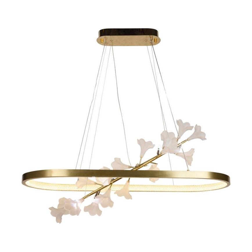 Lampadario a sospensione con filo LED dimmerabile LED/65W/230V 3000-6500K + telecomando