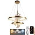 Lampadario a sospensione con filo LED dimmerabile LED/70W/230V 3000-6500K + telecomando