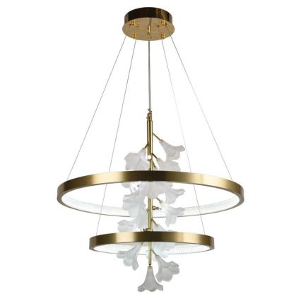 Lampadario a sospensione con filo LED dimmerabile LED/70W/230V 3000-6500K + telecomando