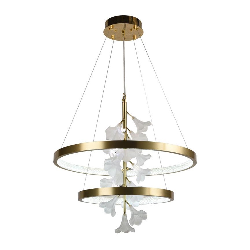 Lampadario a sospensione con filo LED dimmerabile LED/70W/230V 3000-6500K + telecomando