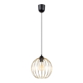 Lampadario a sospensione con filo MATT 1xE27/60W/230V nero/oro