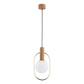 Lampadario a sospensione con filo MODI 1xE14/10W/230V oro/beige