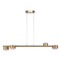Lampadario a sospensione con filo PUNTO 4xGX53/12W/230V oro